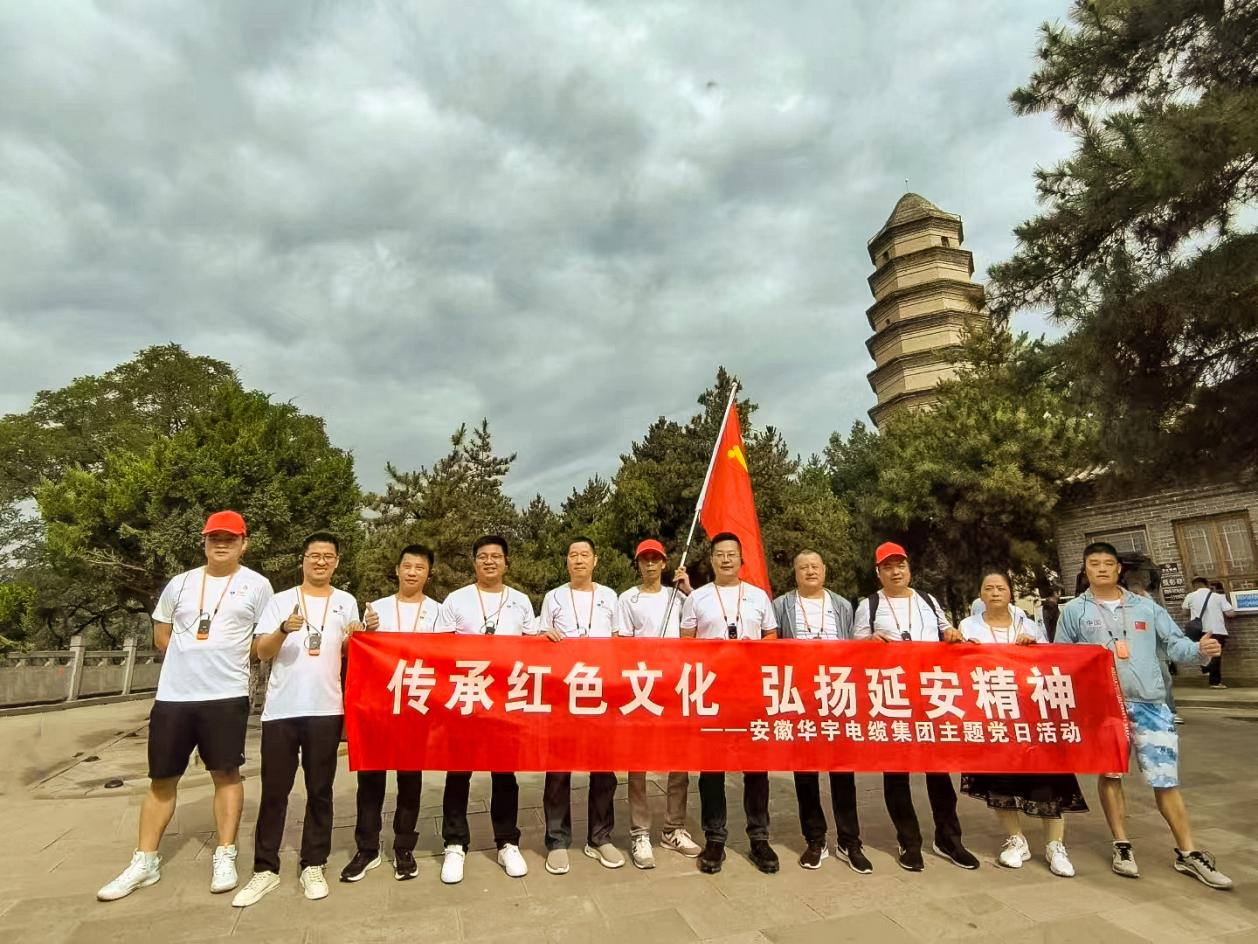               踐行延安精神 筑牢信仰之基 —安徽華宇集團(tuán)黨支部、無(wú)為市工信局黨總支聯(lián)合...
